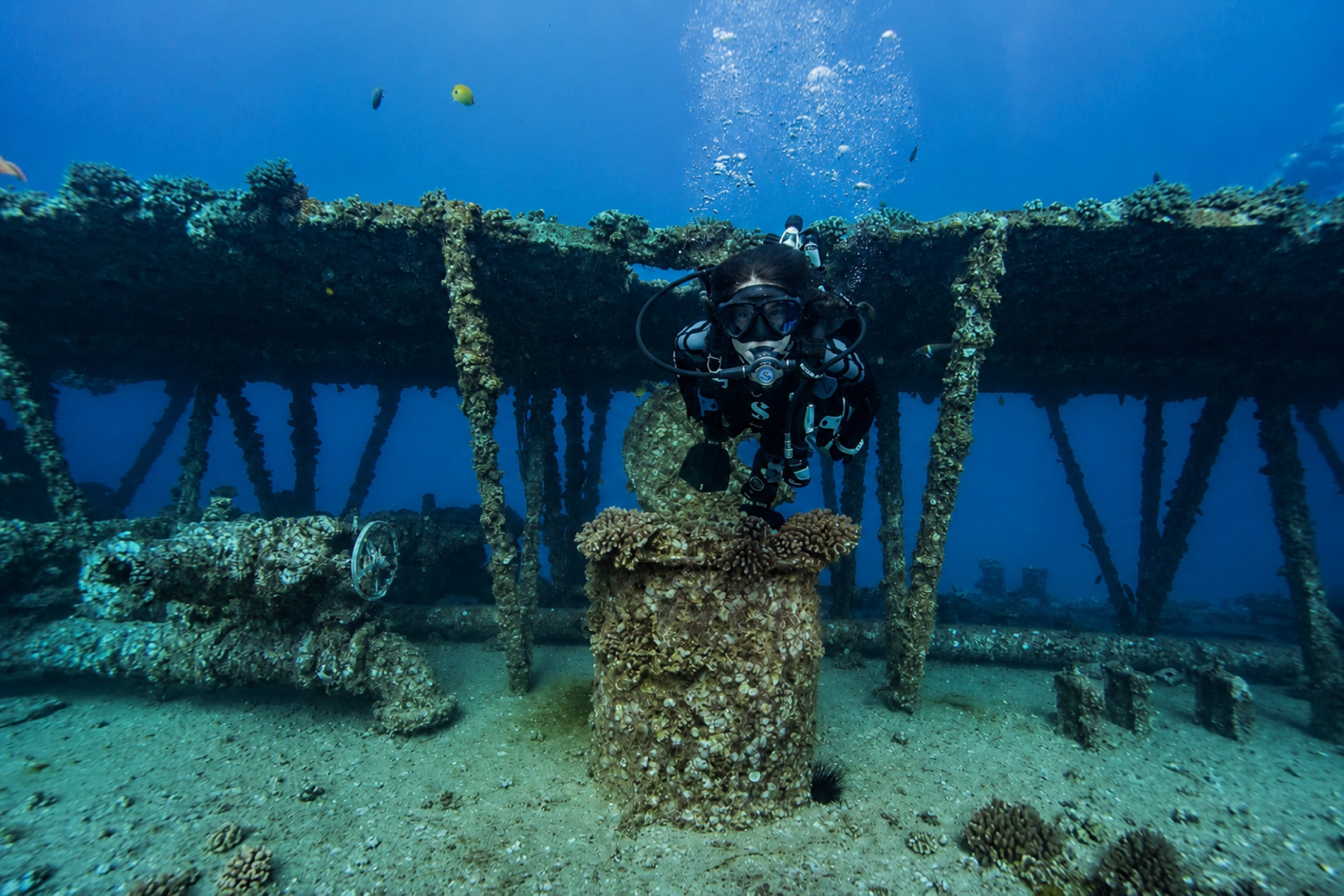 Diving a wreck off Oahu