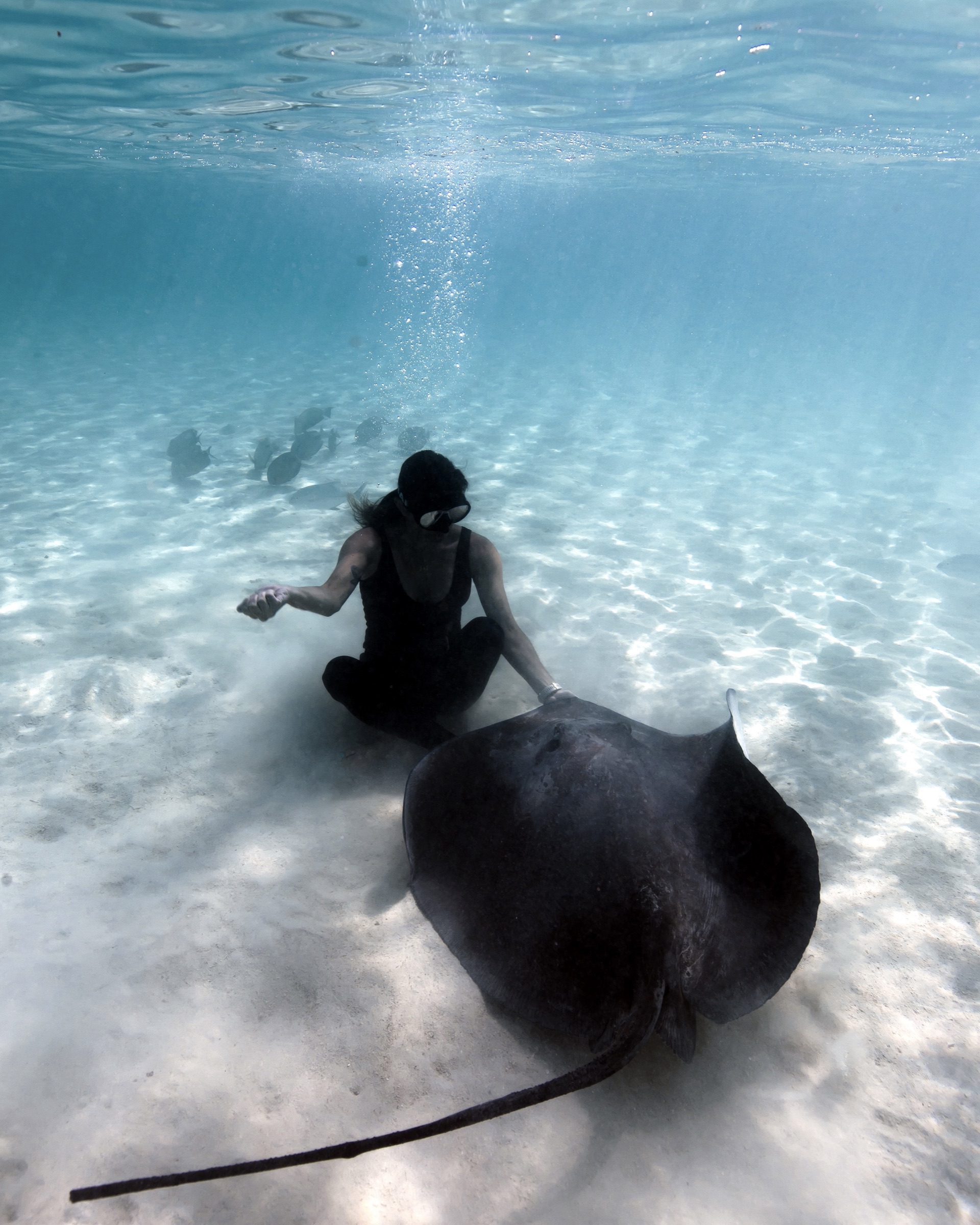 Alexis Jabbour diving in French Polynesia