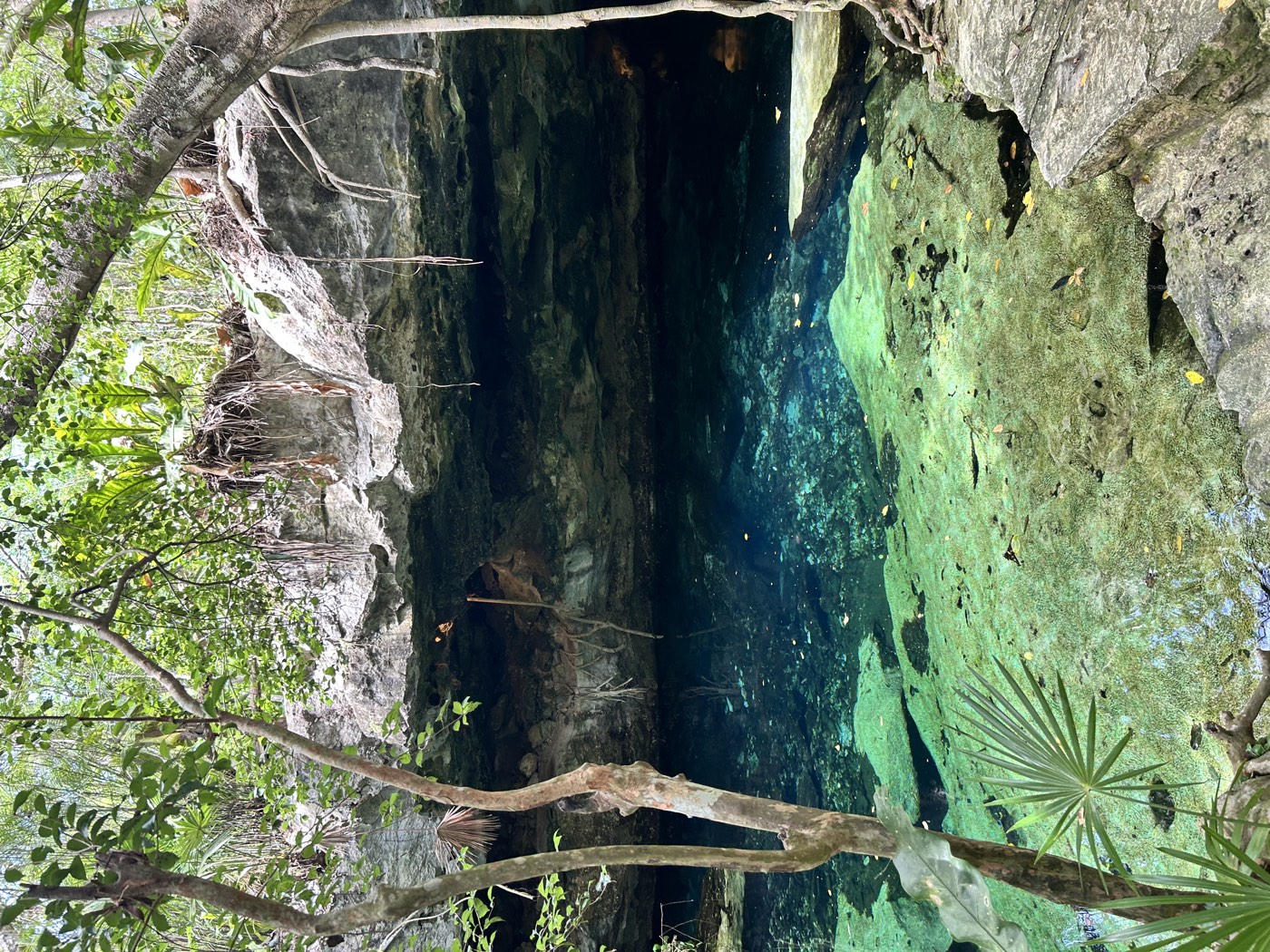 Quick Trip: Playa del Carmen Cenotes