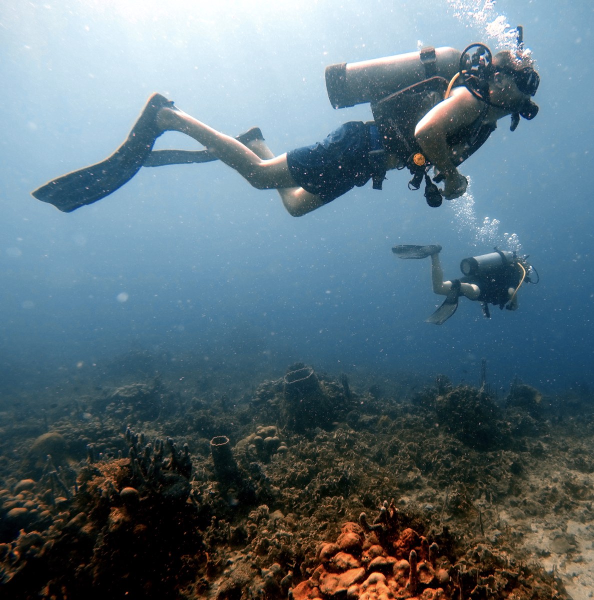 Tamas Szilagyi diving