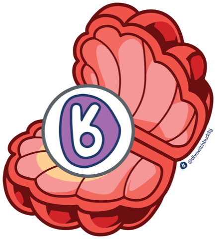 Buddy shell