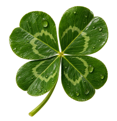 Four-leaf clover