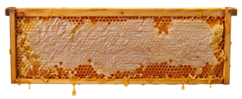 Honey frame